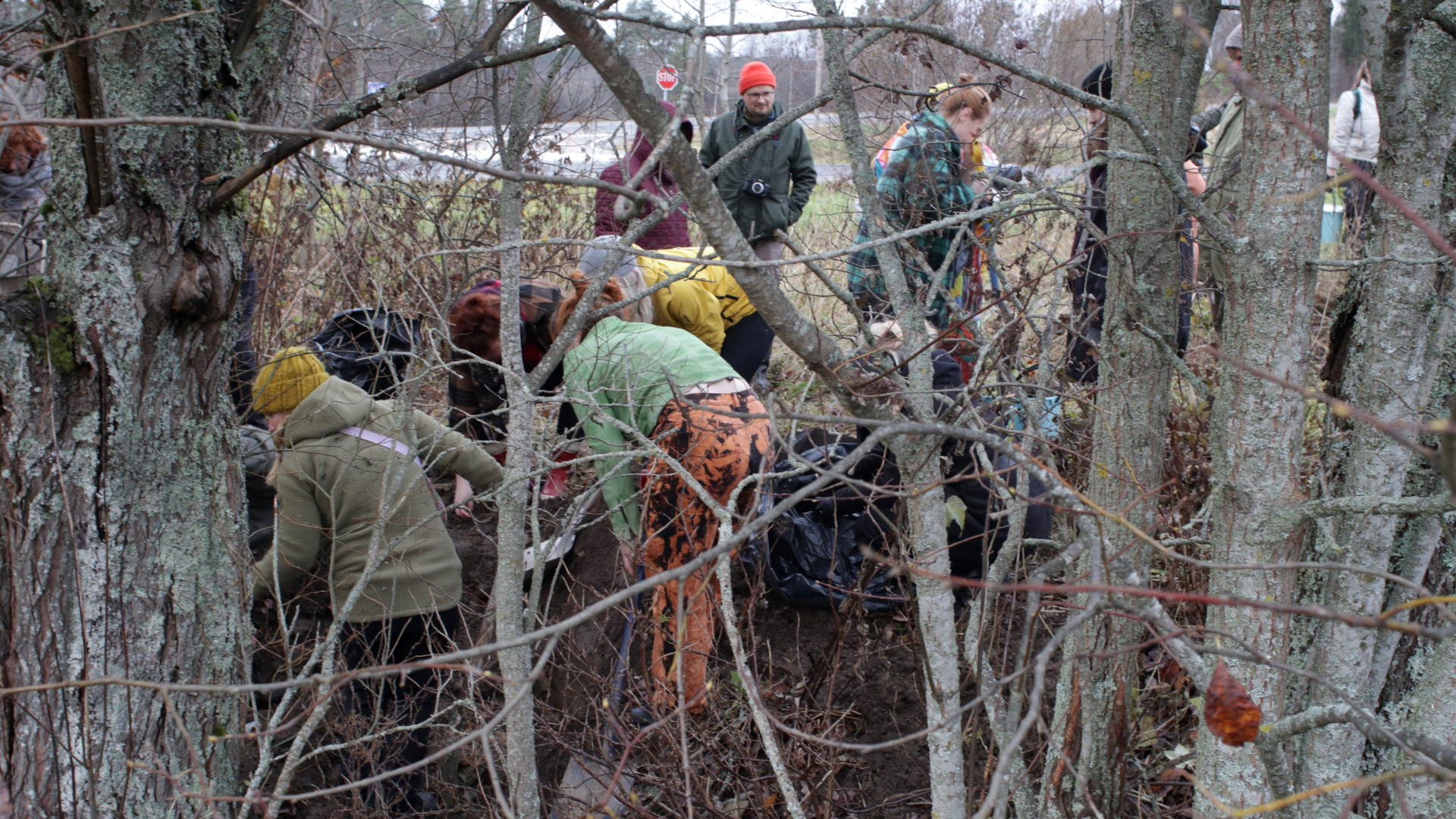 Ihmisjoukko tutkii maata puiden keskellä. 