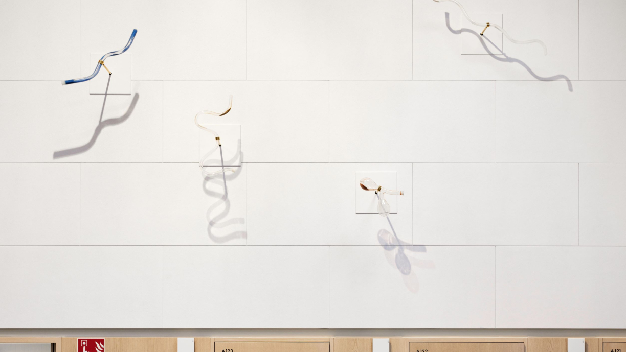 Veistostaidetta puurimoitetulla seinällä