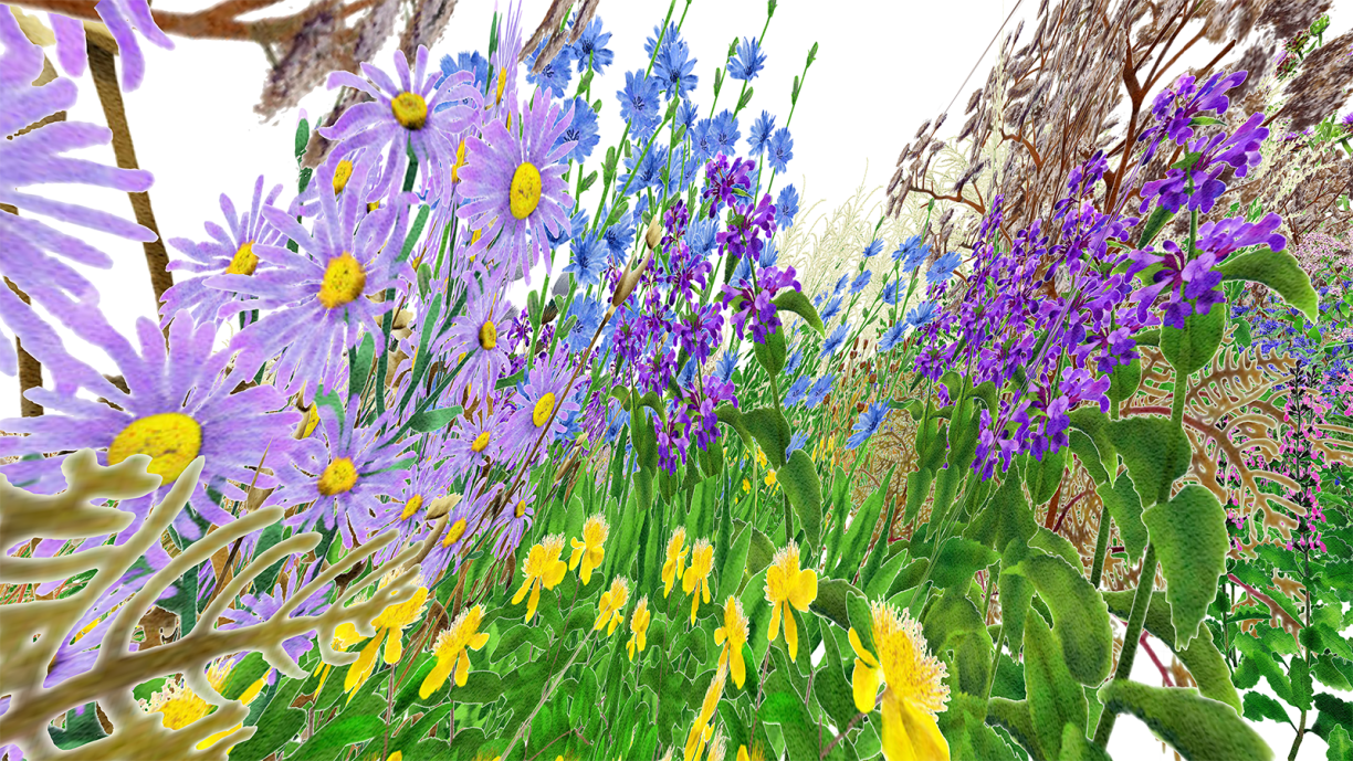 Digital render of Pollinator Pathmaker artwork. Flowers and plants in a garden. 