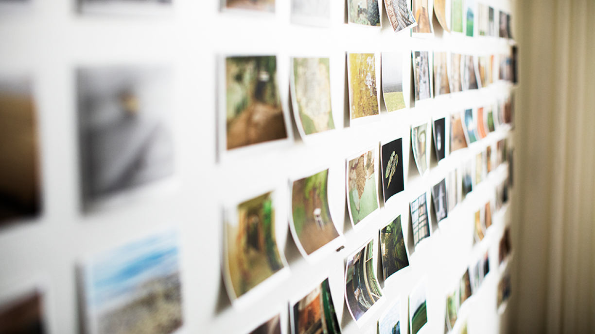 Taidevalokuvia seinällä riveittäin