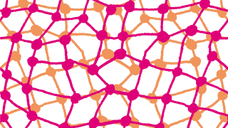 Piirroskuva, jossa moniväristä rihmastoa.