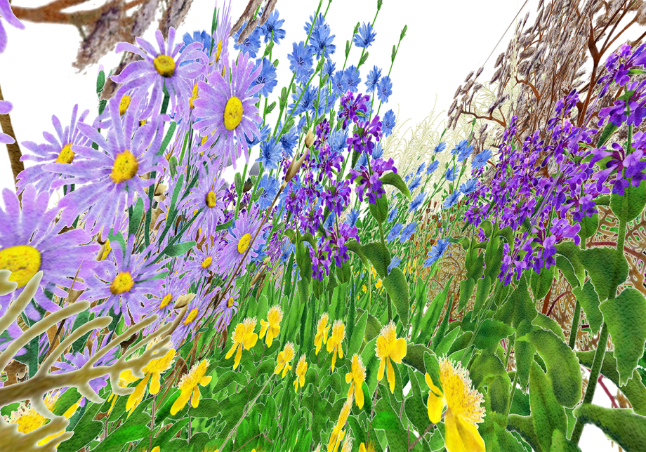 Digital render of Pollinator Pathmaker artwork. Flowers and plants in a garden. 