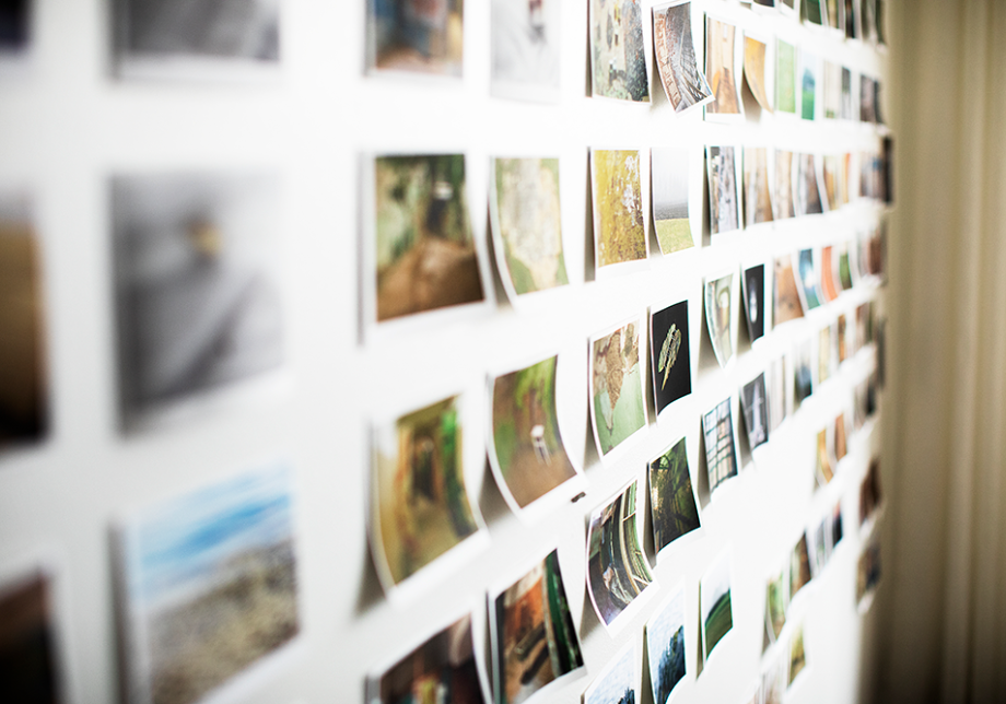 Taidevalokuvia seinällä riveittäin