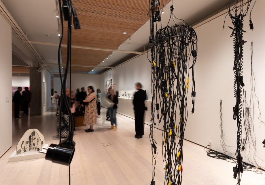 Ihmisiä taidenäyttelyssä.