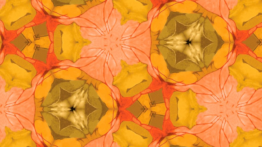 Ett kalejdoskopiskt naturliknande mönster som återkommer i nyanser av rosa, gult och orange.